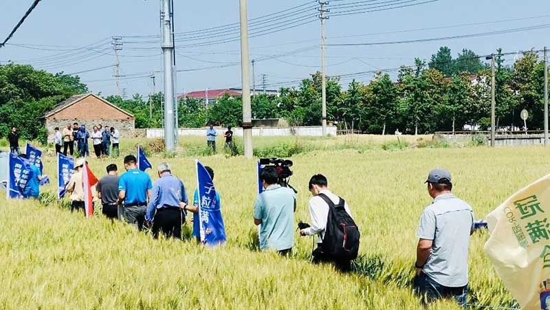 520健康植保日——擁抱綠色農(nóng)業(yè)，我們在行動