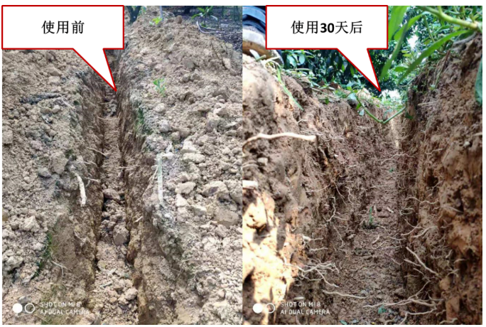 “土壤板結(jié)克星”：土壤調(diào)理劑你了解多少？